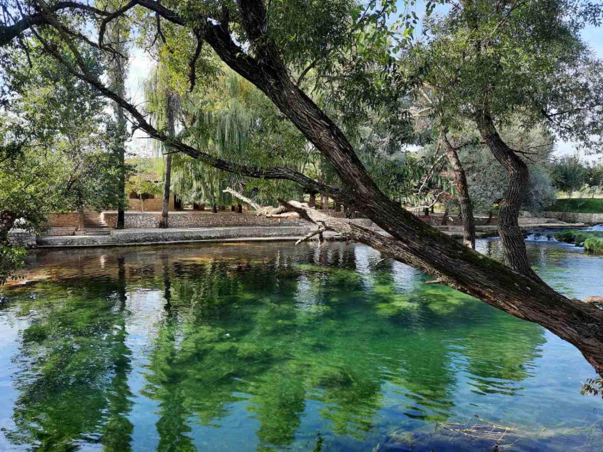 ליובוסקי Guest House Green River מראה חיצוני תמונה