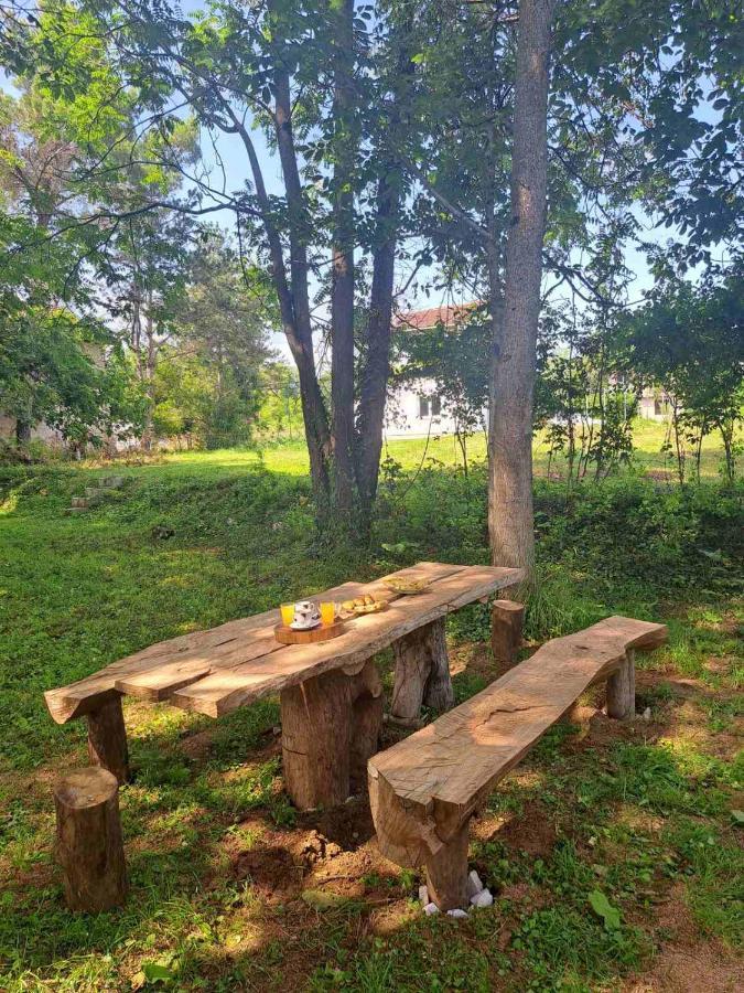 ליובוסקי Guest House Green River מראה חיצוני תמונה