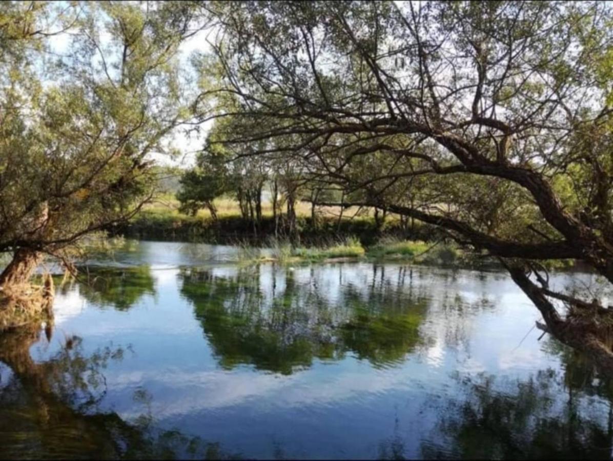 ליובוסקי Guest House Green River מראה חיצוני תמונה