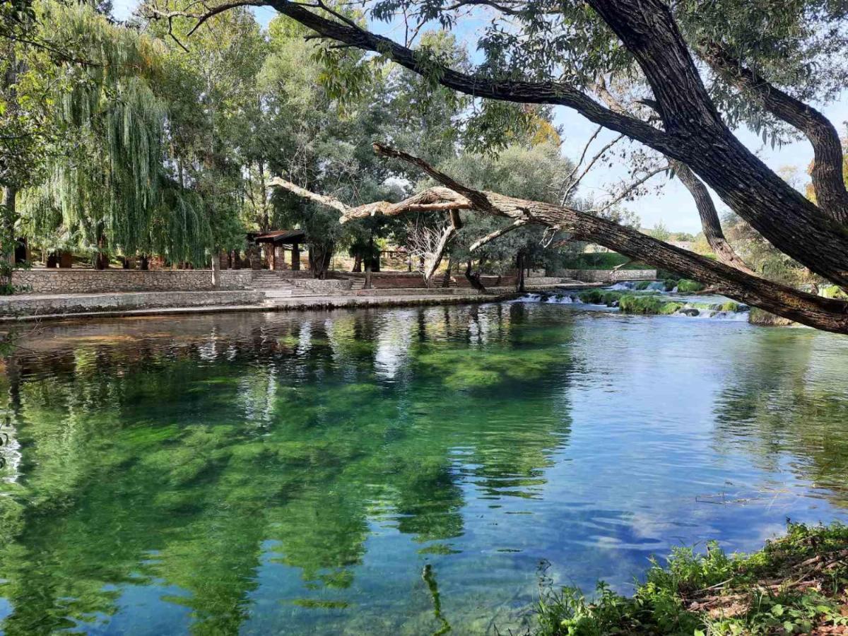 ליובוסקי Guest House Green River מראה חיצוני תמונה